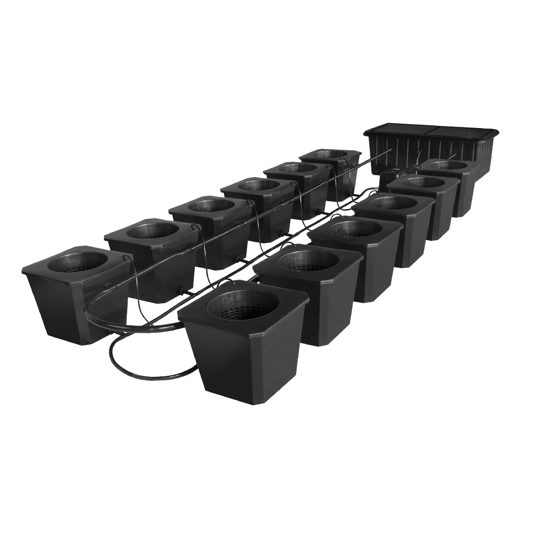 12-Site Bubble Flow Buckets Grow System