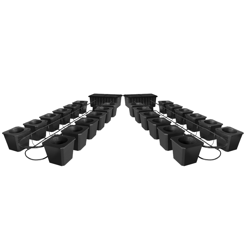 24-Site Bubble Flow Buckets Grow System