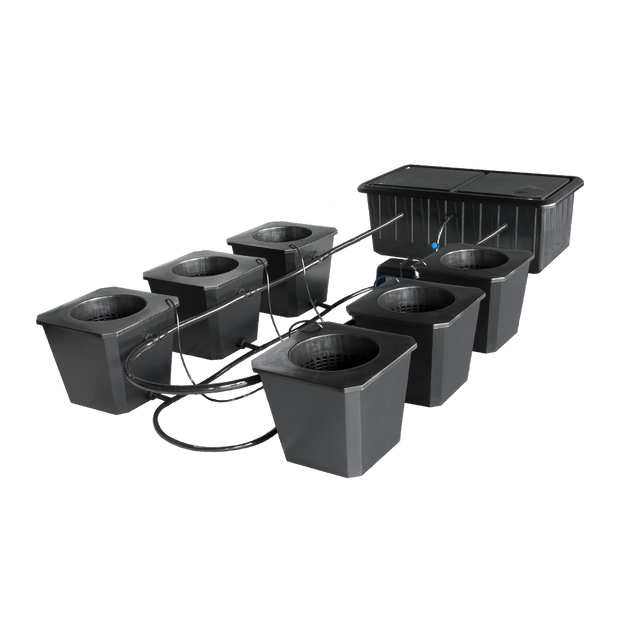 6-Site Bubble Flow Buckets Hydroponic Grow System