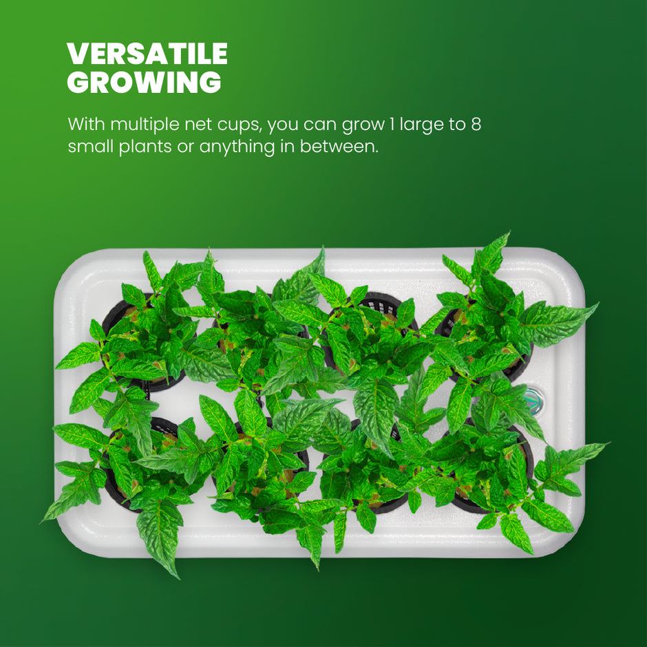 SuperPonics 8 Hydroponic Grow System