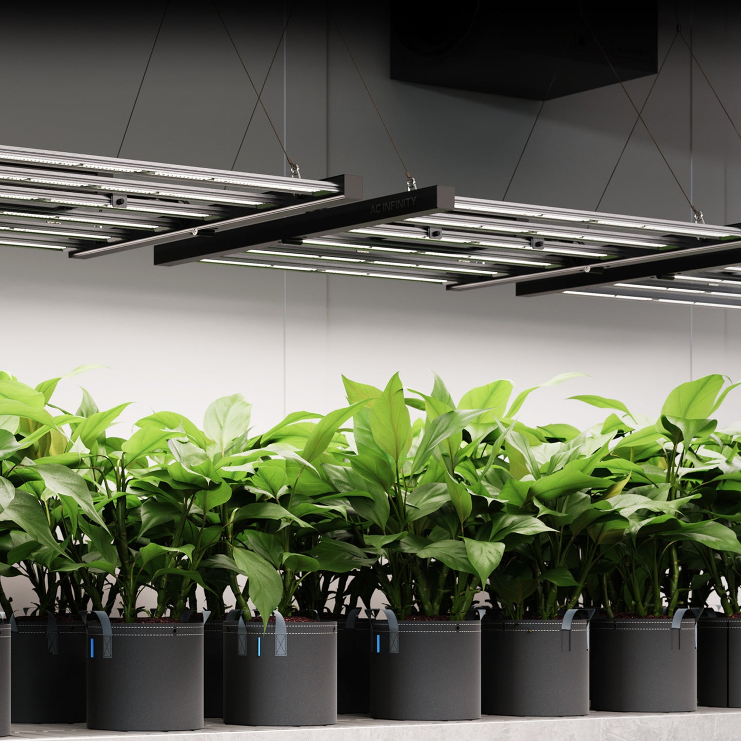 IONFRAME EVO3, Samsung LM301H EVO Commercial LED Grow Light, 280W, 2x4 ft