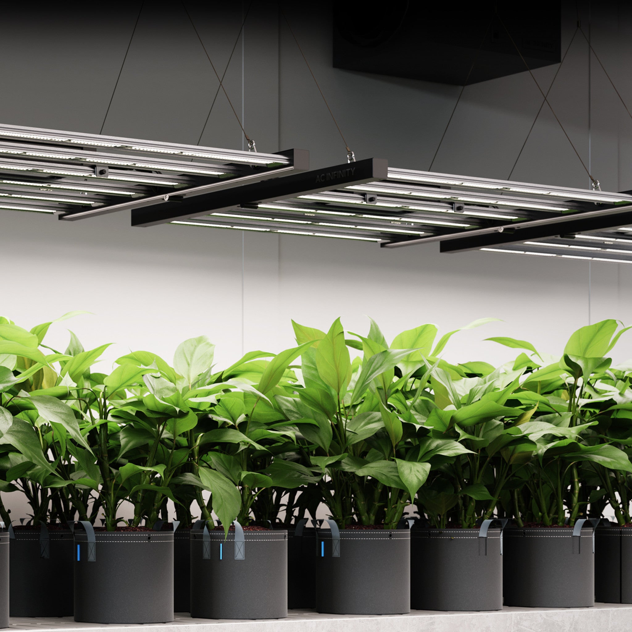IONFRAME EVO3, Samsung LM301H EVO Commercial LED Grow Light, 280W, 2x4 ft