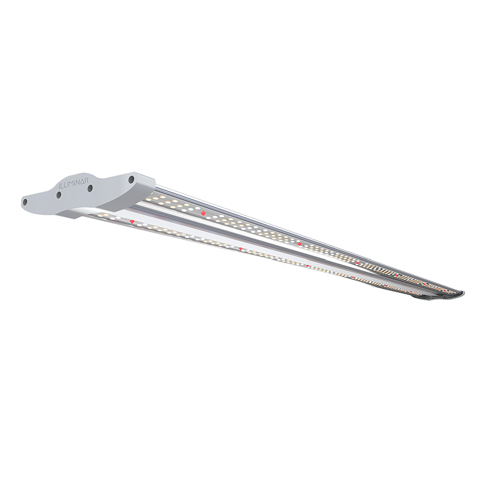 iLW LED 40W 120-277V