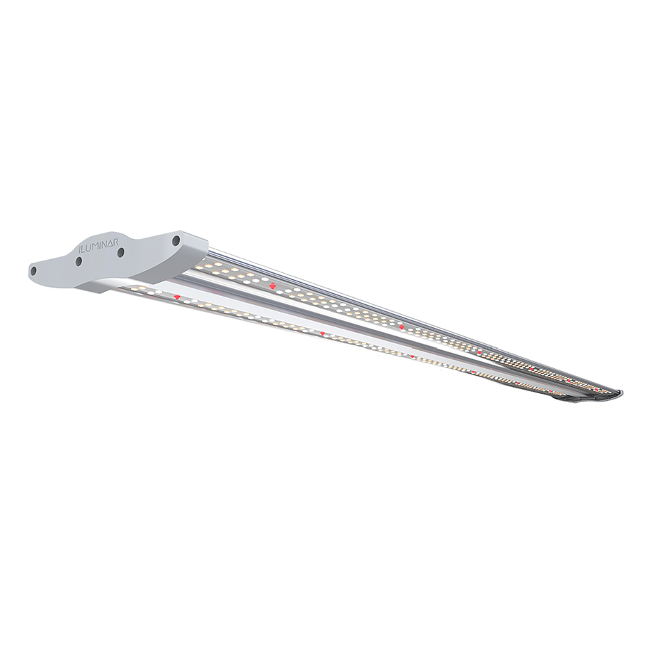 iLW LED 40W 120-277V